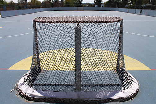 Street Hockey Net